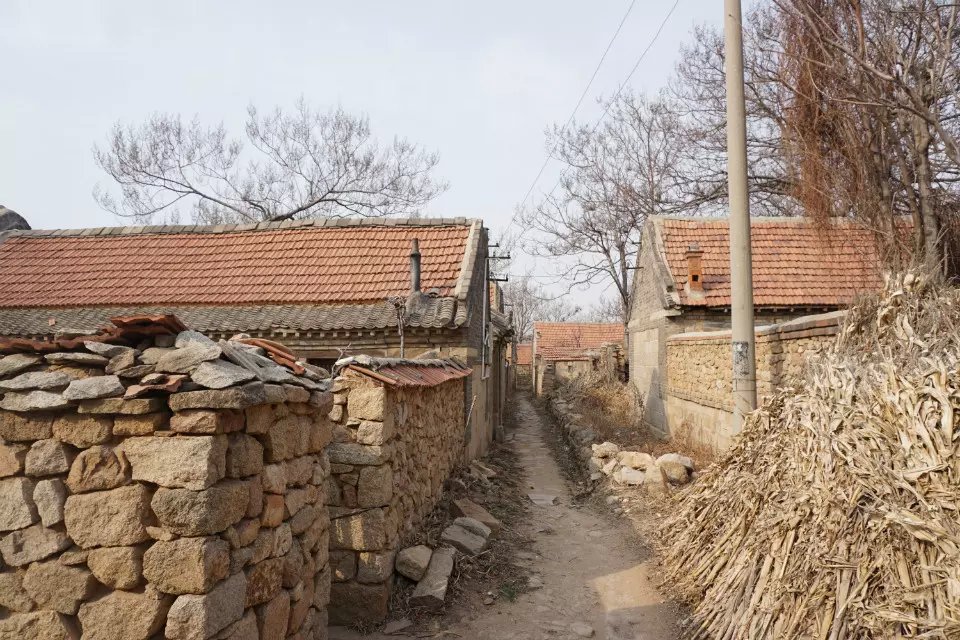 psbCAK00IDF.jpg