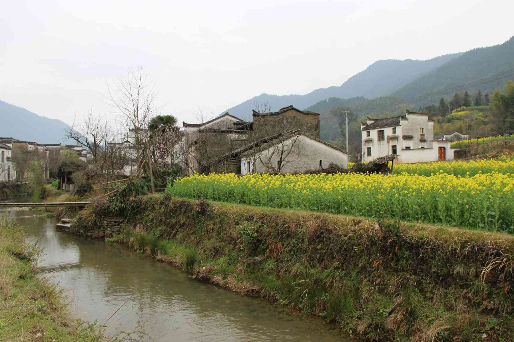 (2015.3.13-15)婺源-庆源 073_看图王.jpg