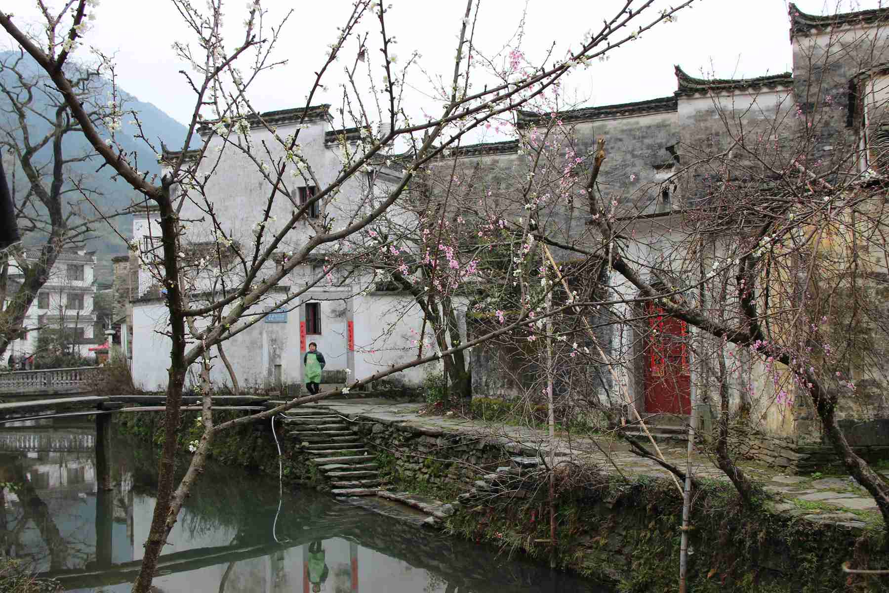 (2015.3.13-15)婺源-庆源 077_看图王.jpg
