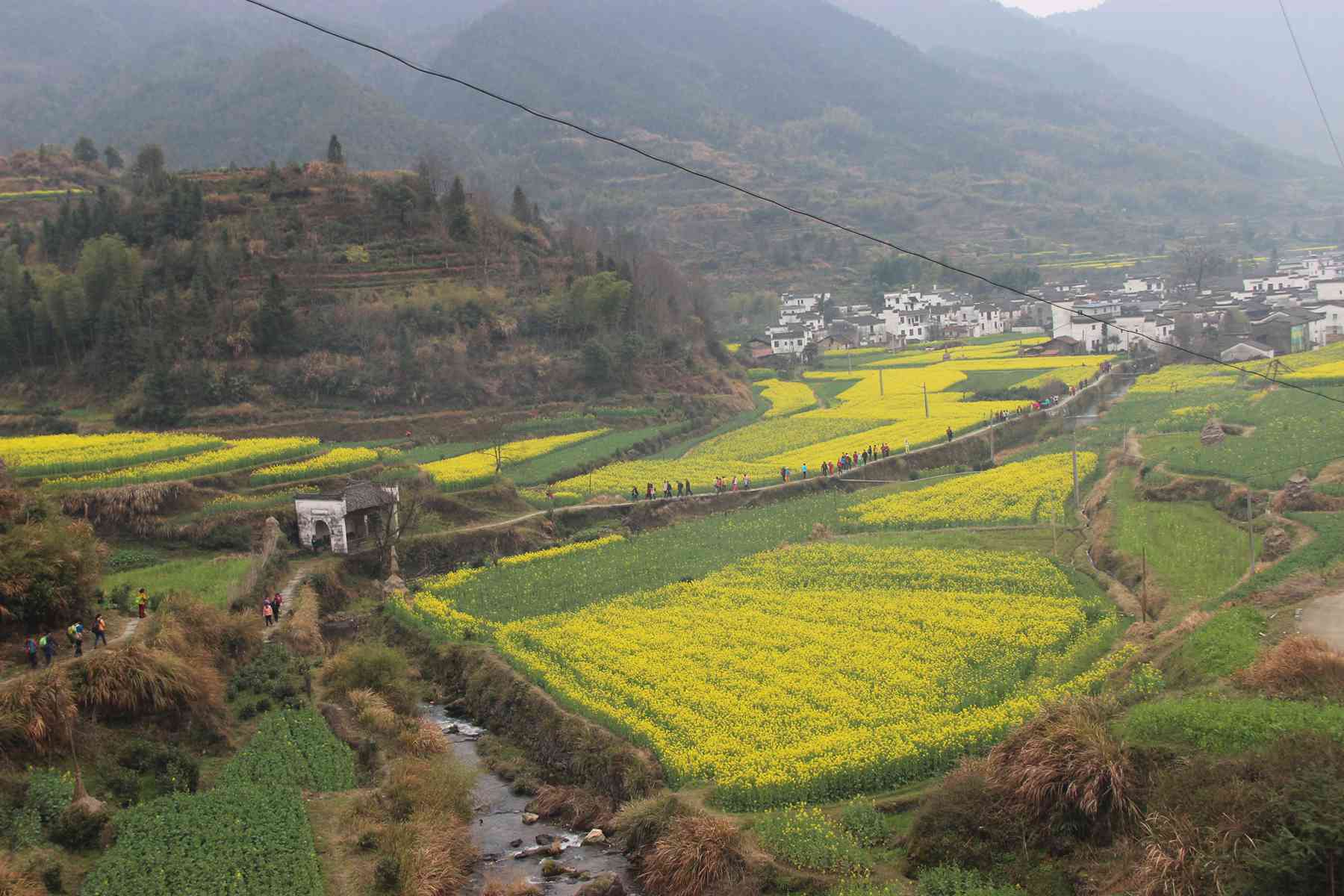 (2015.3.13-15)婺源-庆源 052_看图王.jpg