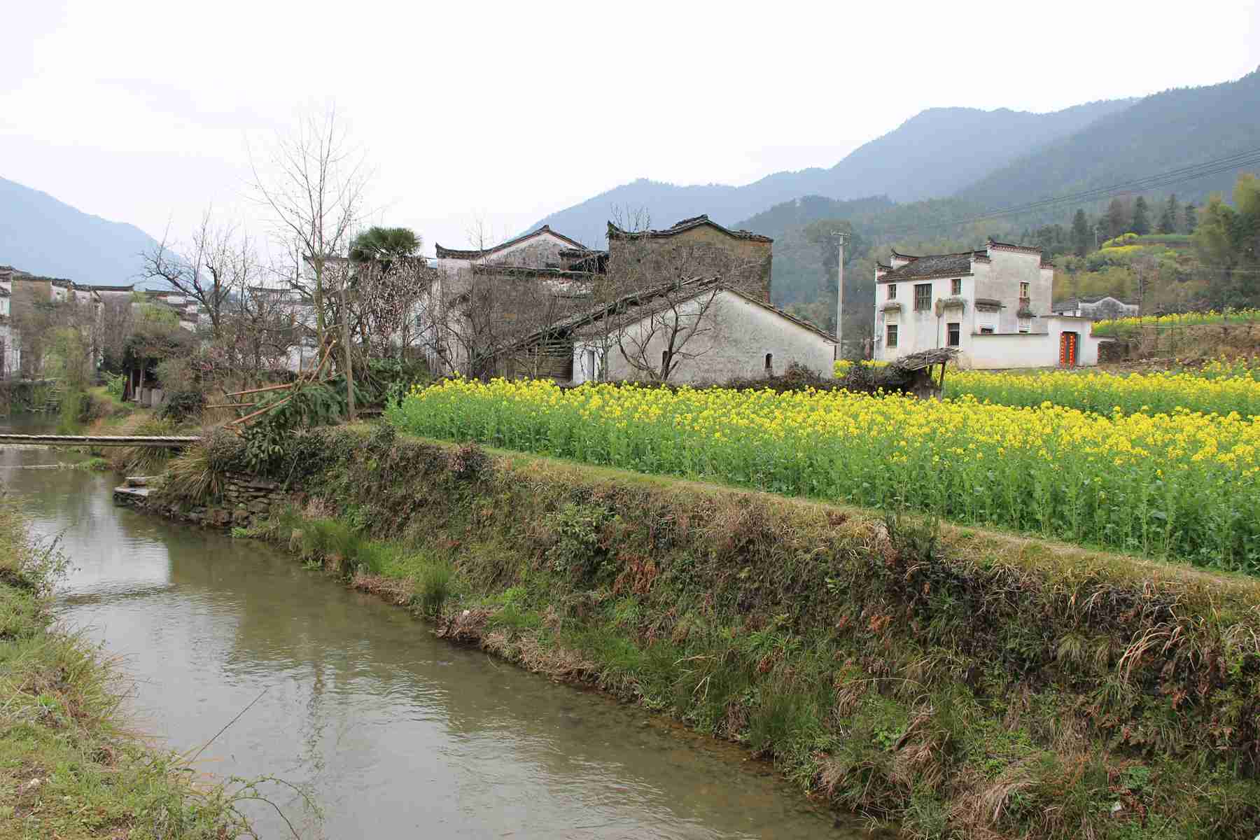 (2015.3.13-15)婺源-庆源 071_看图王.jpg