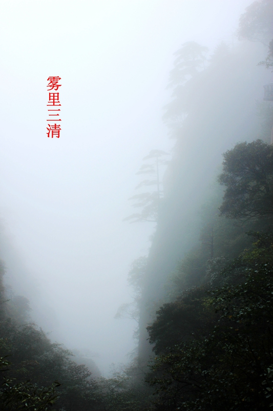照片 971.jpg