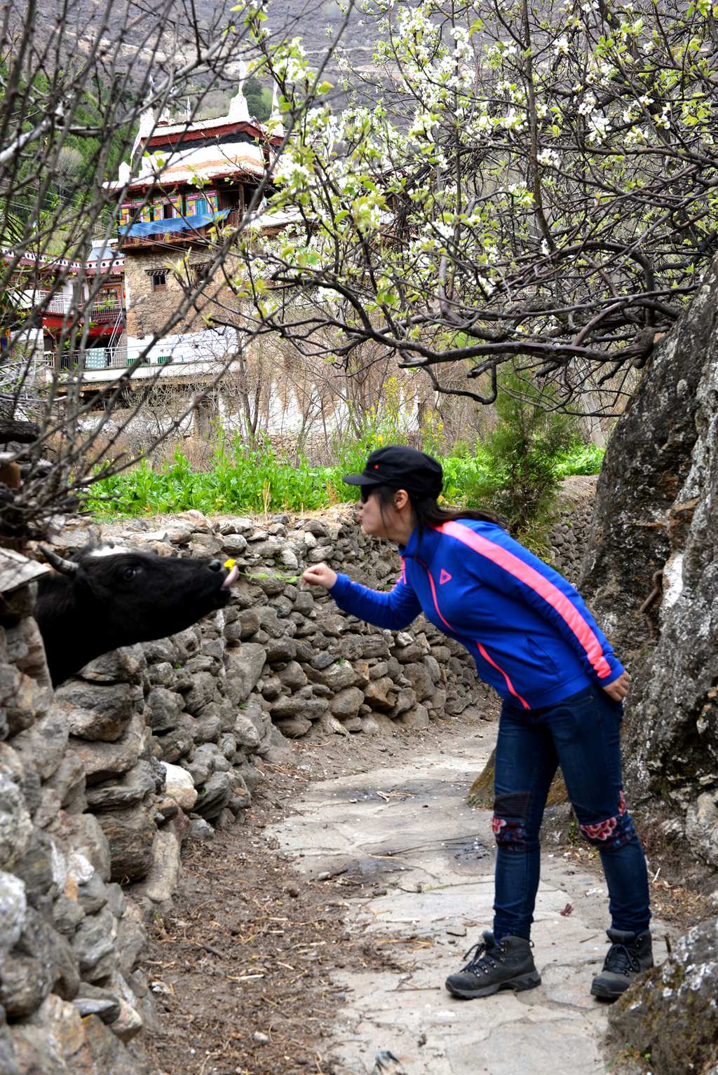 DSC_8592_副本.jpg
