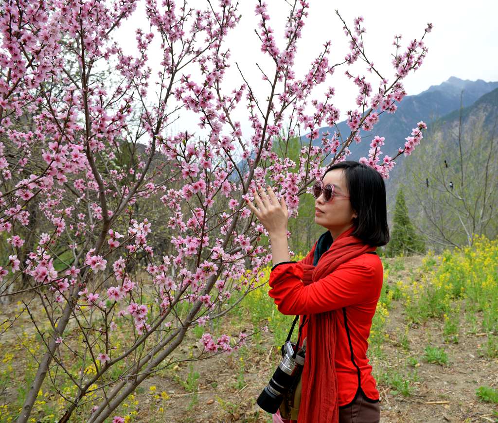 DSC_8673_副本.jpg