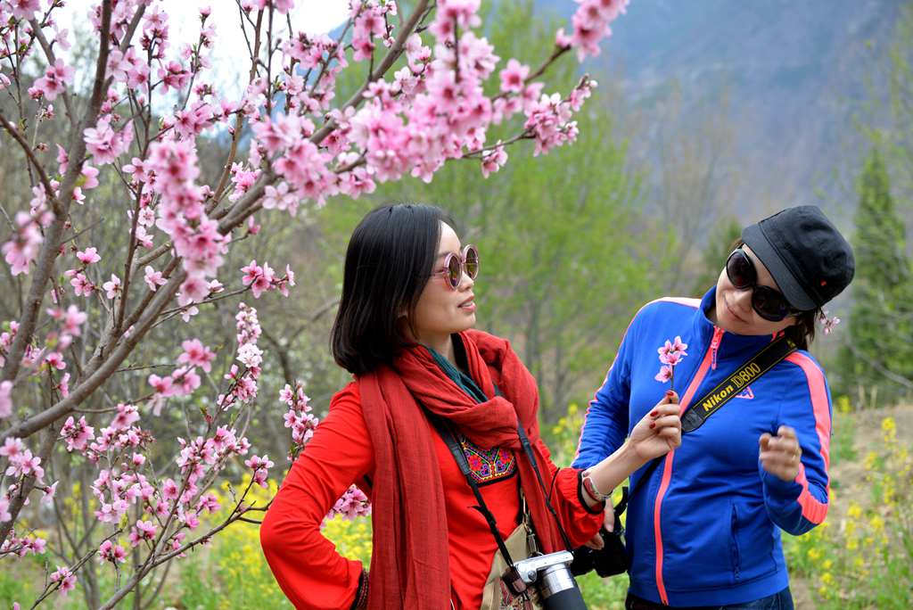 DSC_8688_副本.jpg