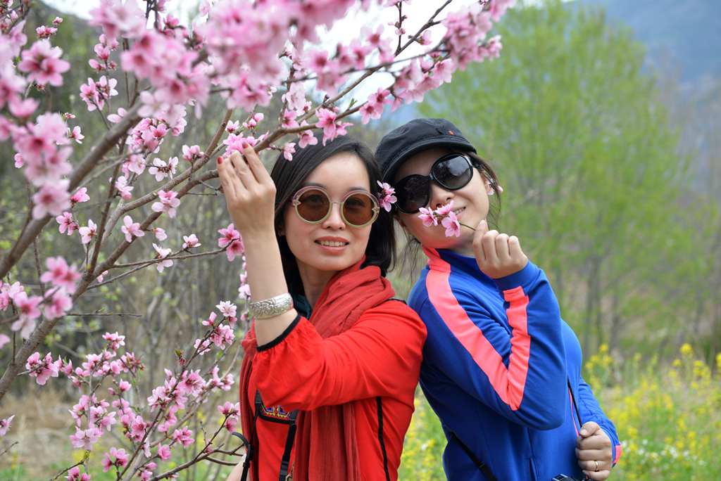 DSC_8690_副本.jpg