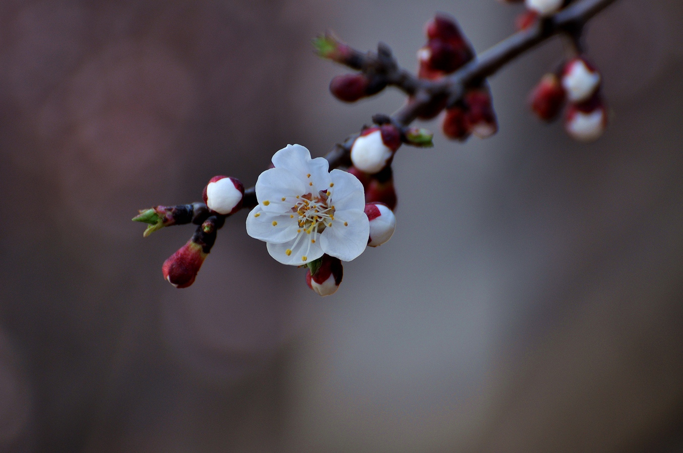 快乐的日子 028.jpg