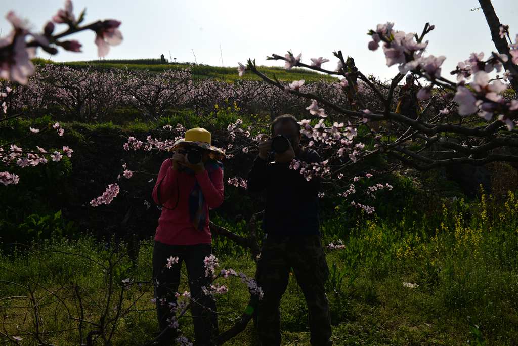 DSC_9632_副本.jpg