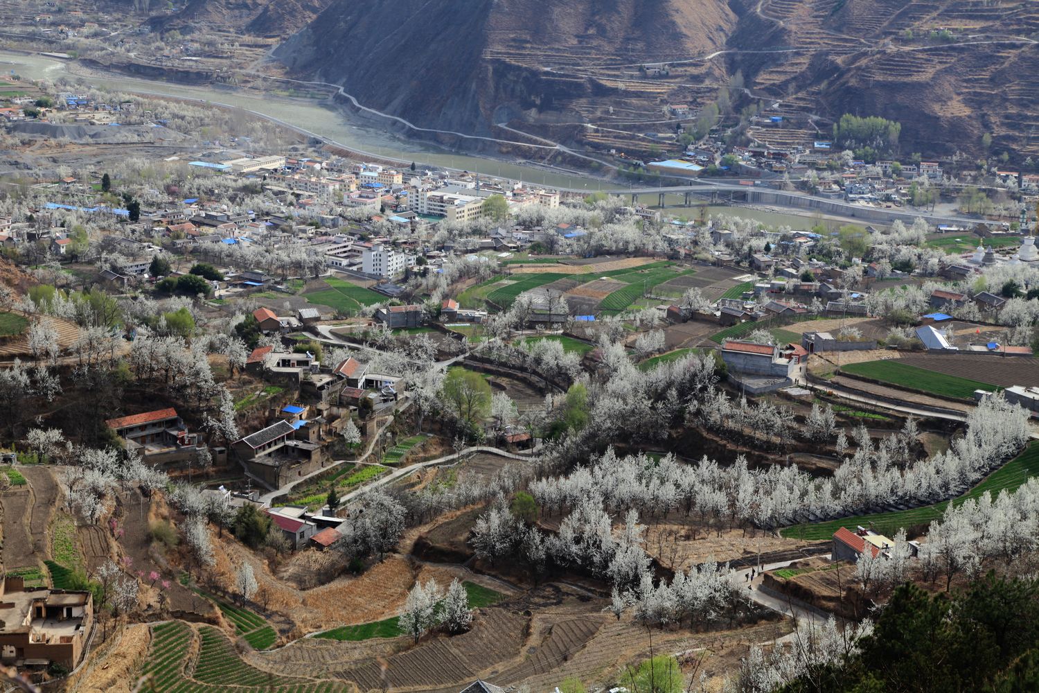 川西，藏寨 173.jpg