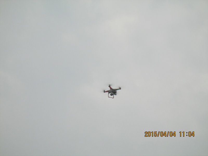 IMG_3167.jpg