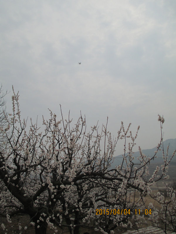 IMG_3168.jpg