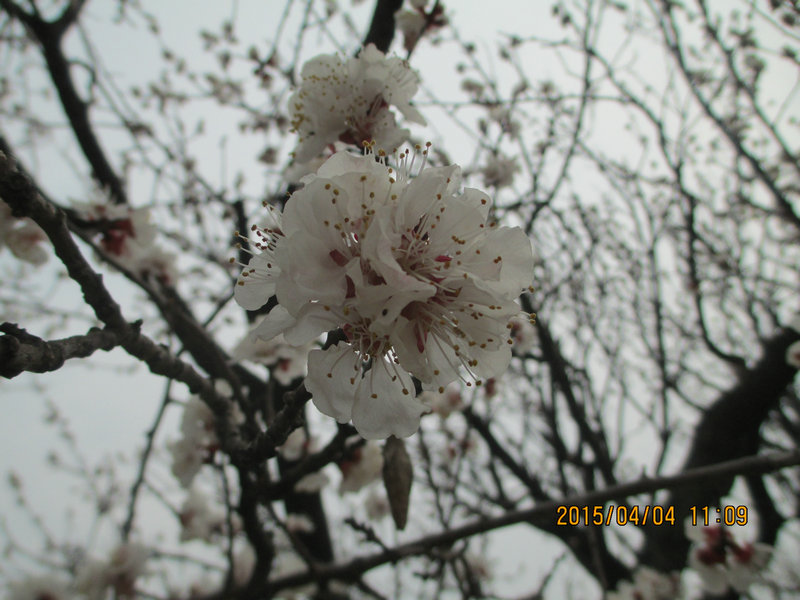 IMG_3172.jpg