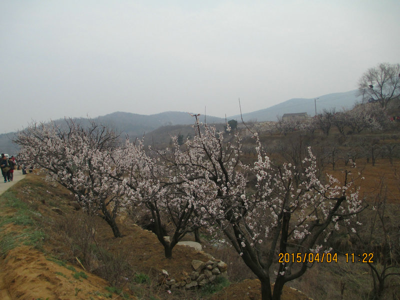 IMG_3178.jpg