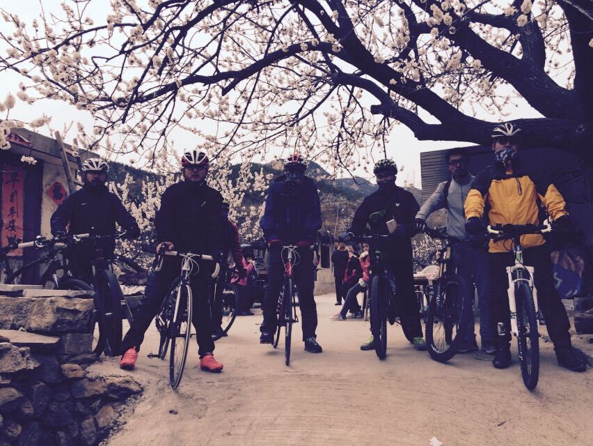 QQ图片20150406151225.jpg