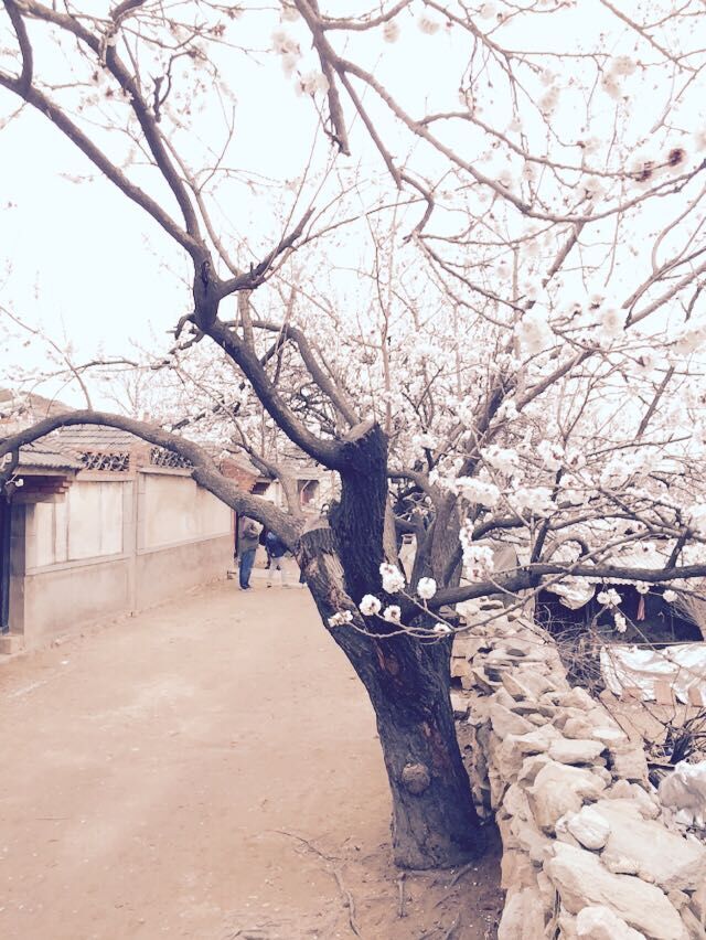 QQ图片20150406151105.jpg