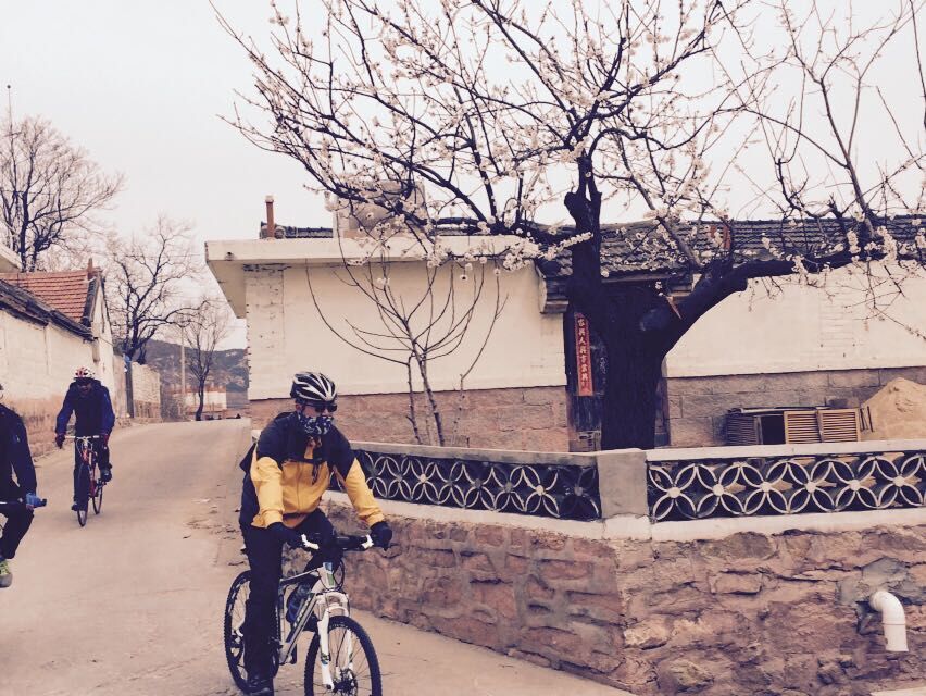 QQ图片20150406151039.jpg