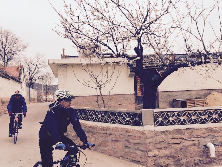 QQ图片20150406151045.jpg