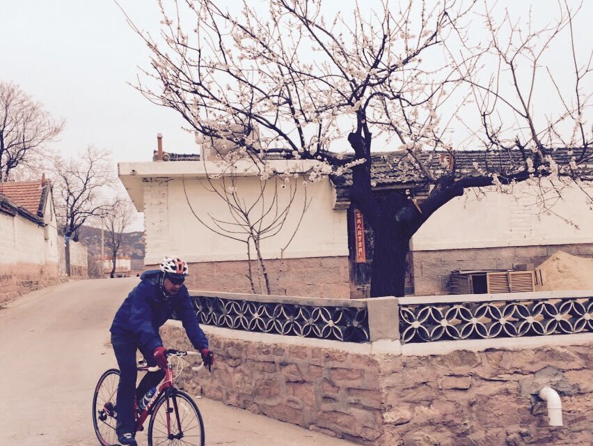 QQ图片20150406151049.jpg