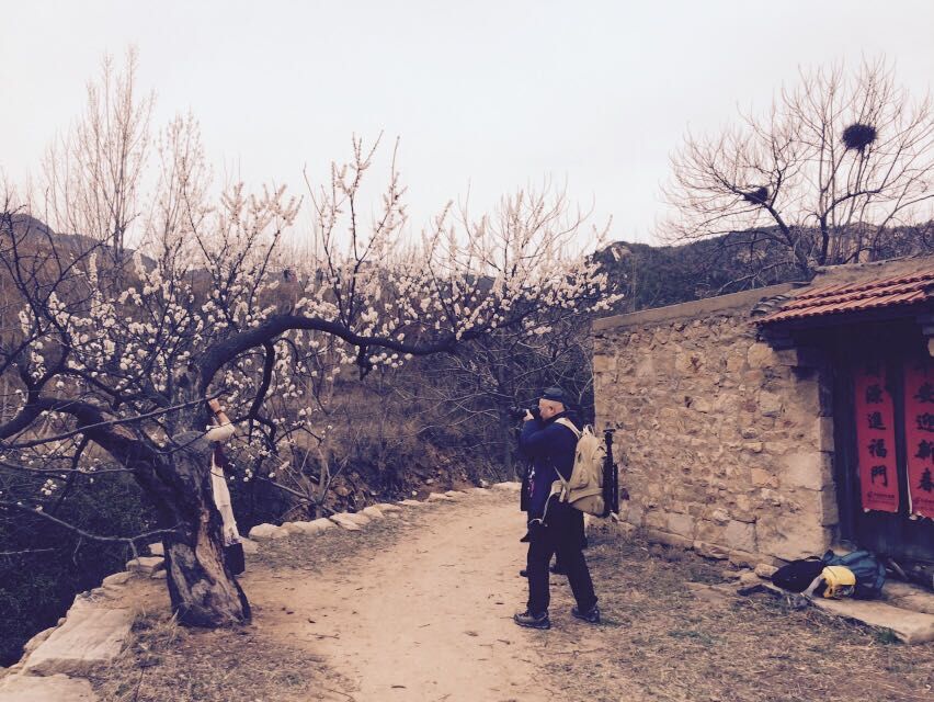 QQ图片20150406151114.jpg