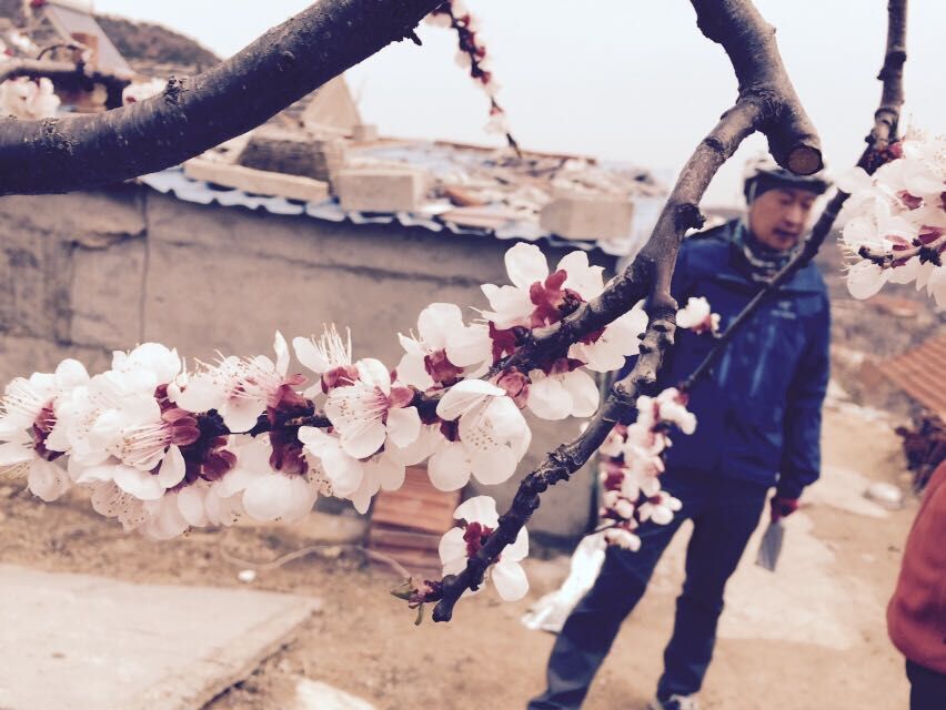 QQ图片20150406151200.jpg