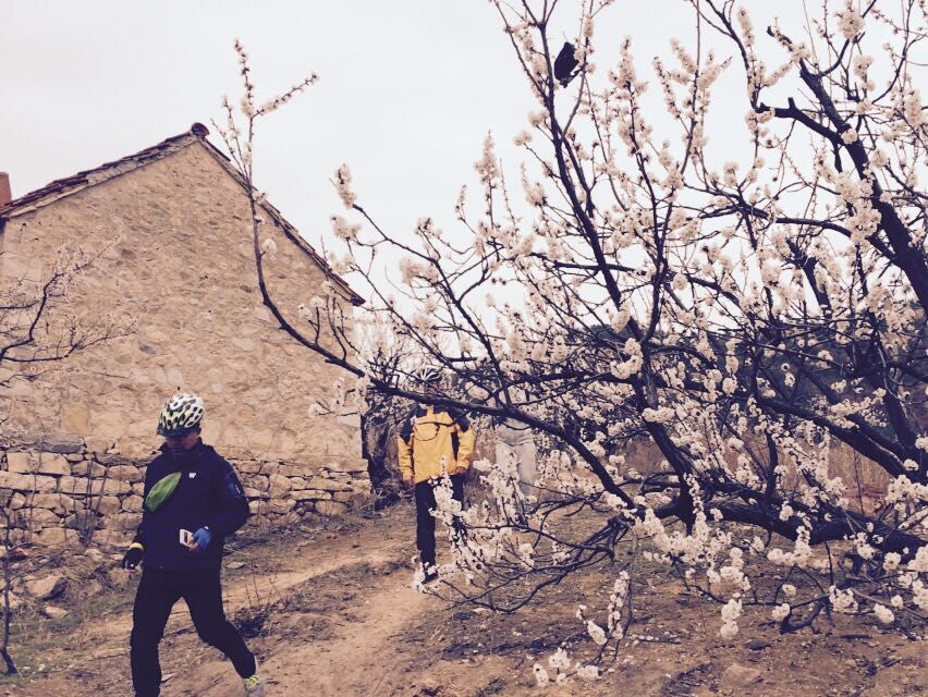 QQ图片20150406151301.jpg