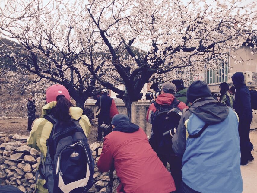 QQ图片20150406151413.jpg