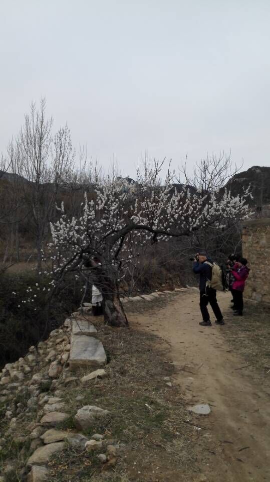 QQ图片20150406151418.jpg