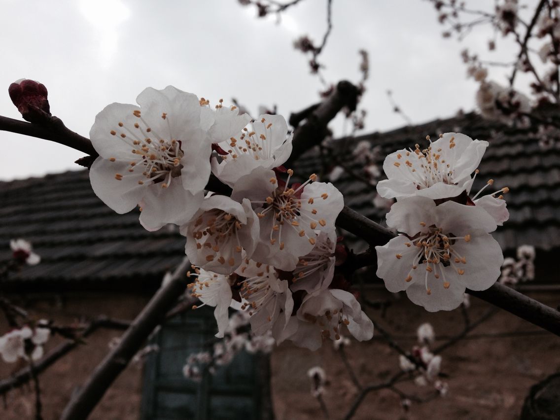 QQ图片20150406151546.jpg