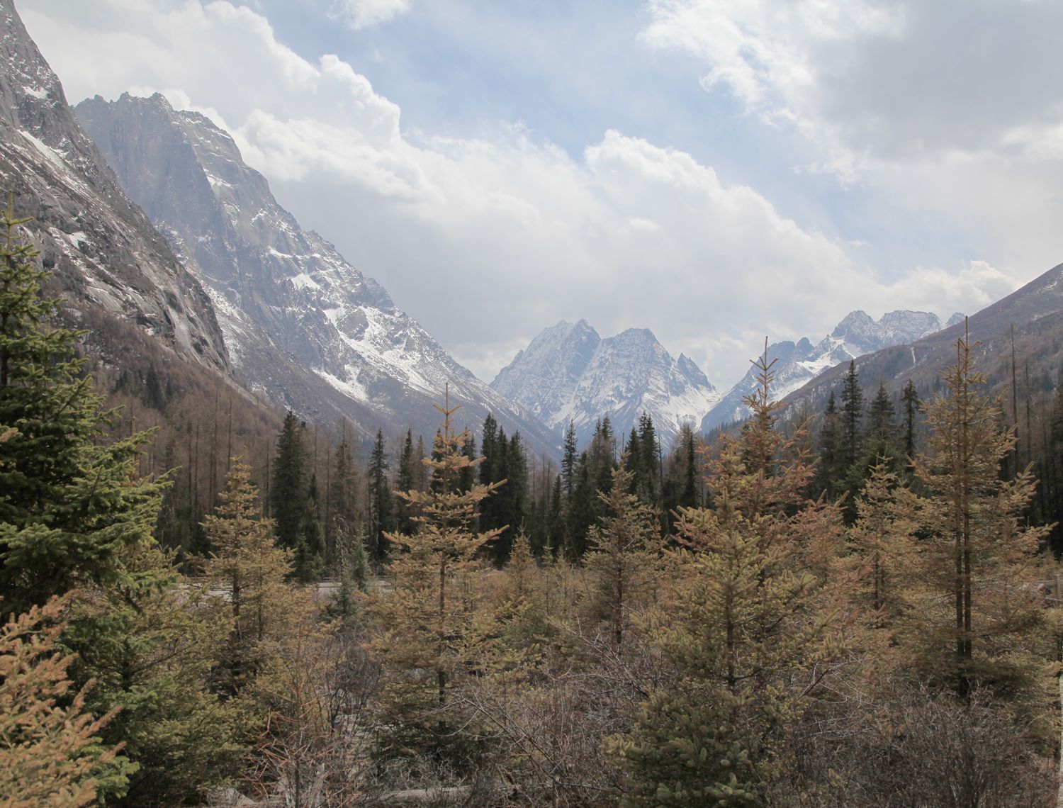 川西，藏寨 850.jpg