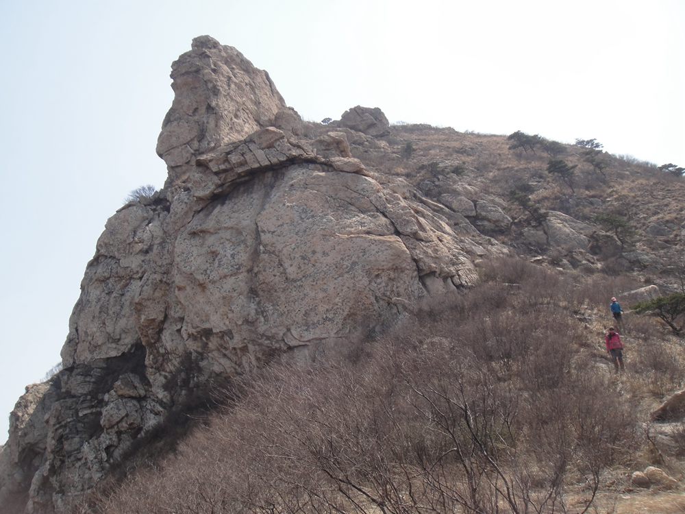 DSC06216.jpg