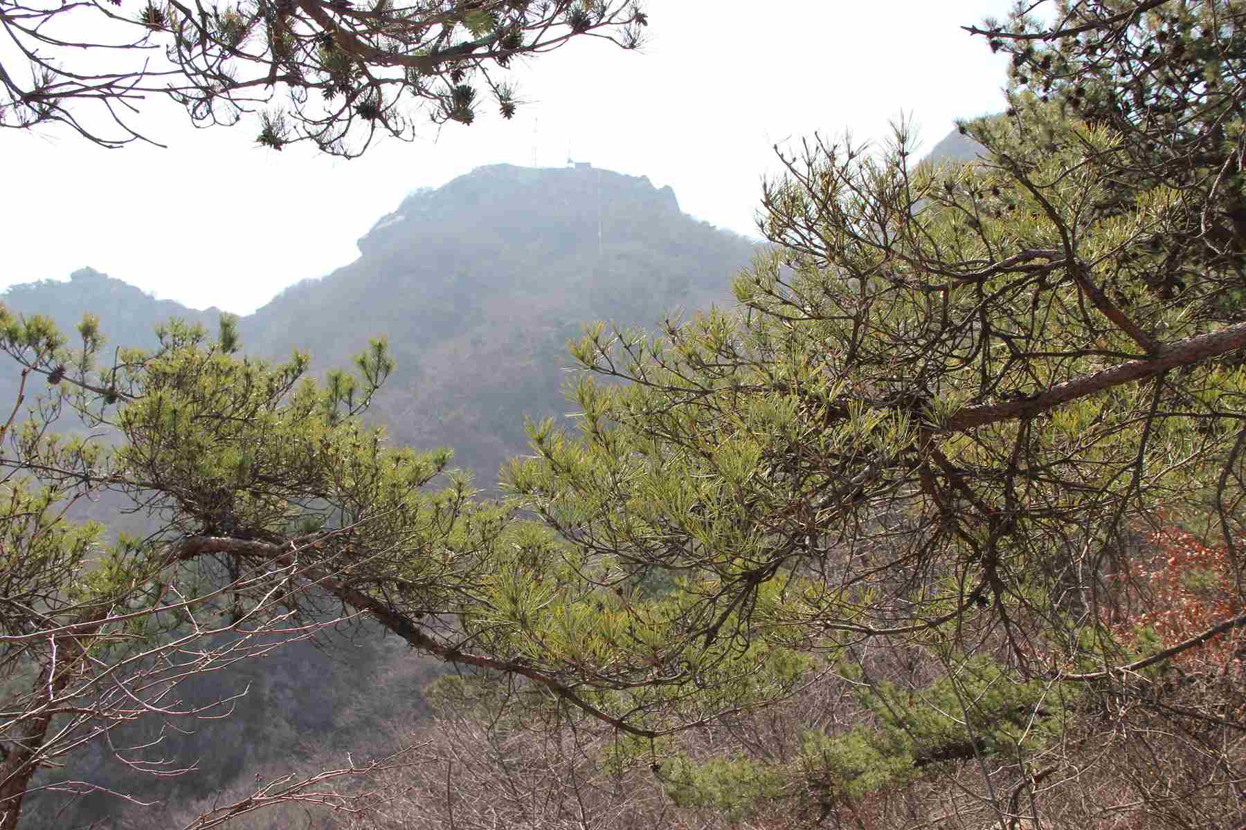 牙山 (30)_副本.jpg