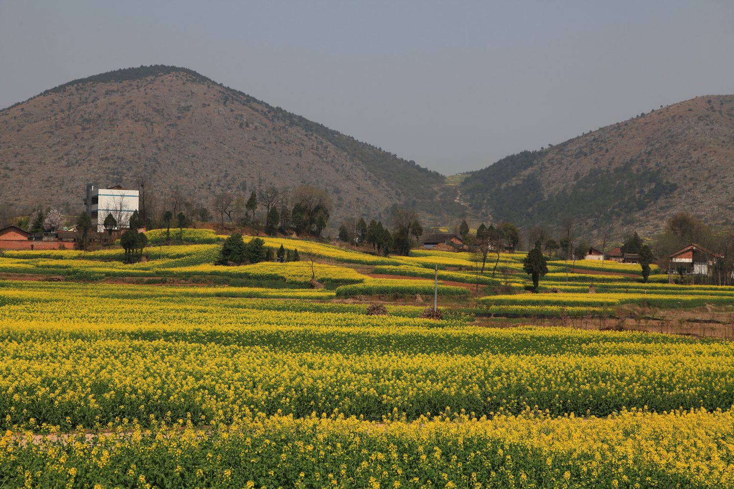 川西，藏寨 1402.jpg