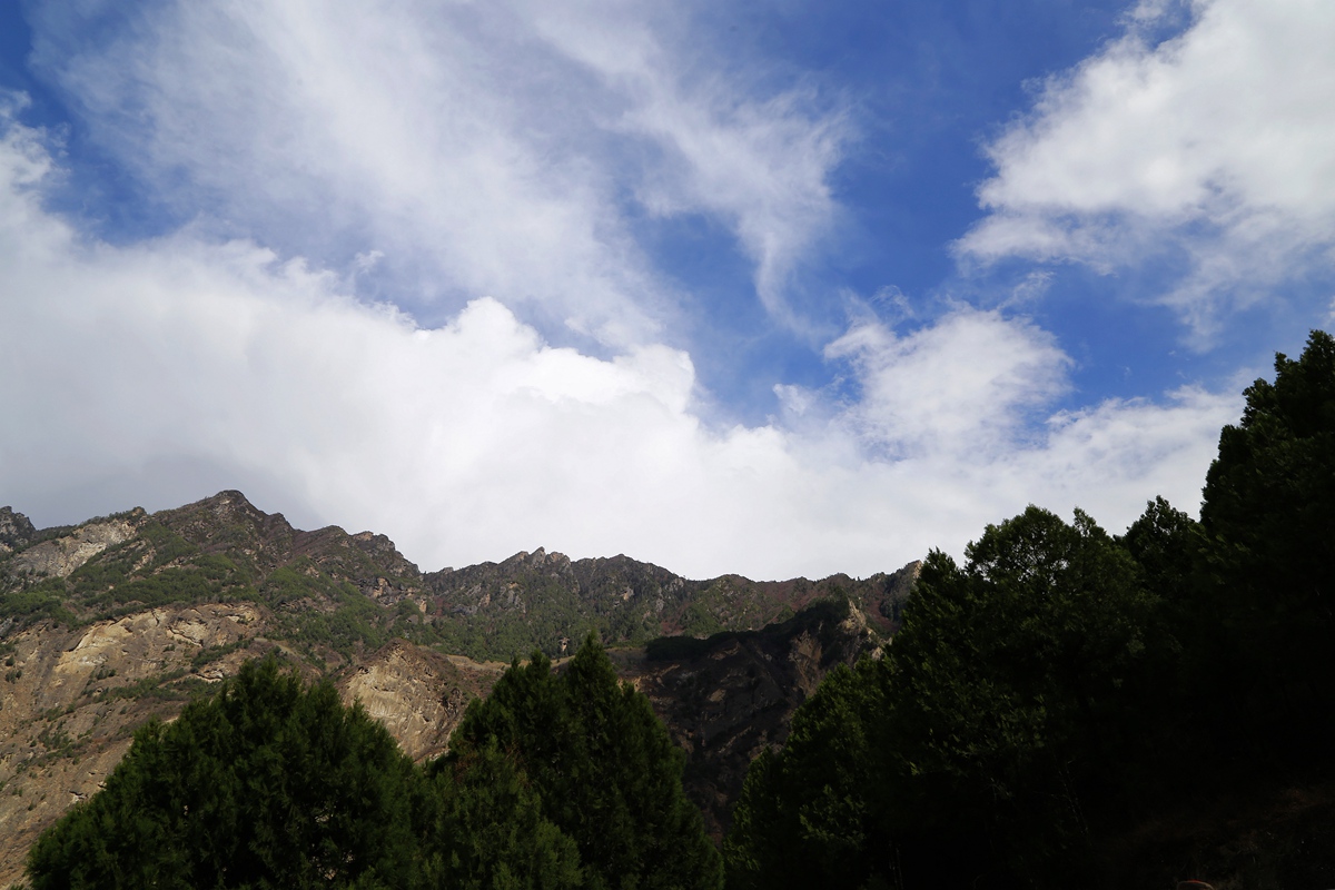 _MG_5655_副本.jpg