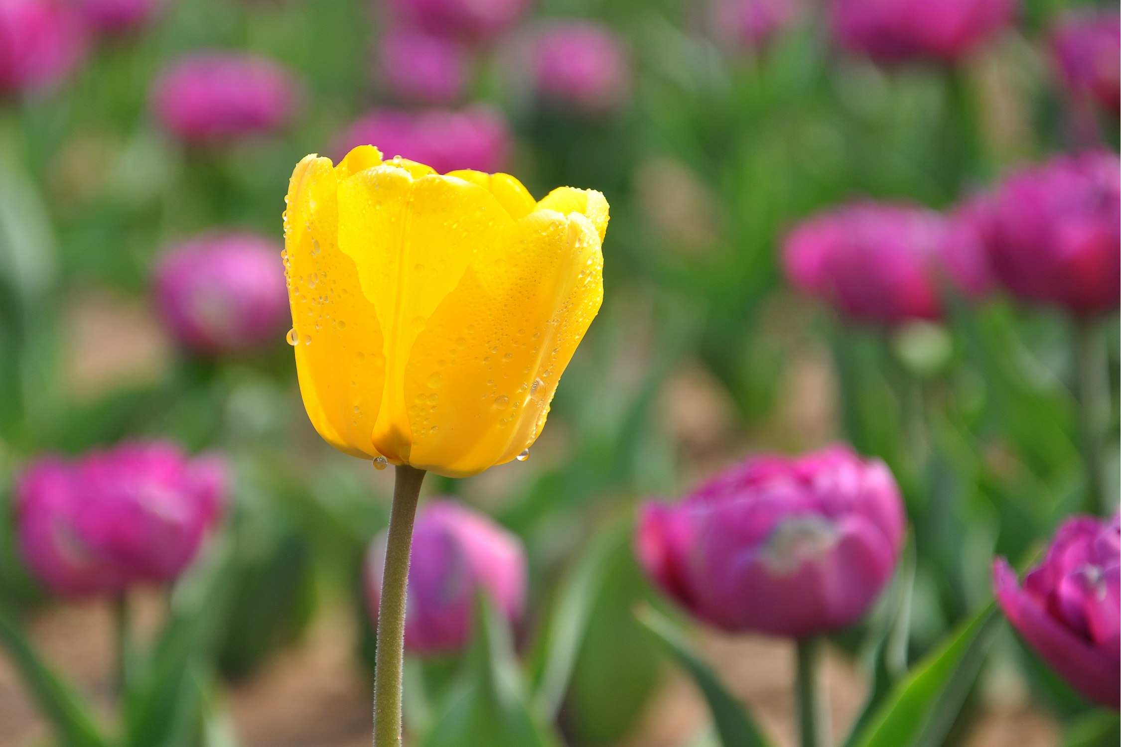 nEO_IMG_DSC_0842.jpg