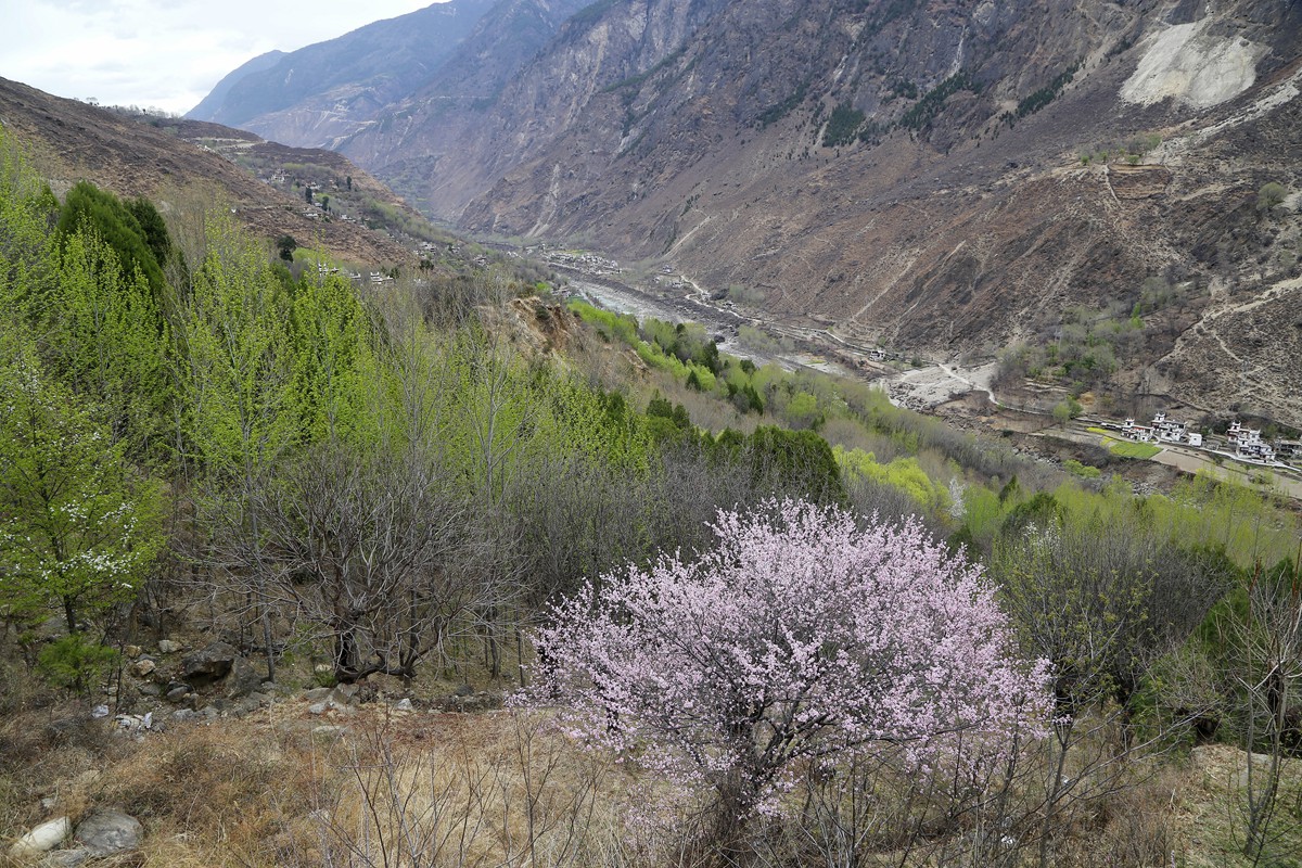 _MG_5738_副本.jpg