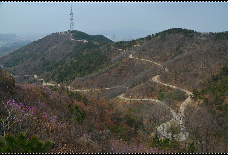 DSC_0291_副本.jpg