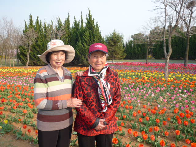 P1060369.JPG