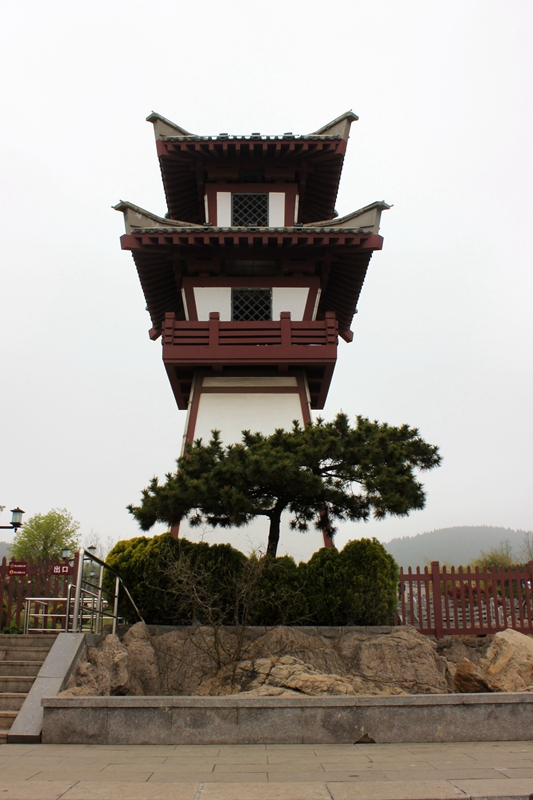 照片 100.jpg
