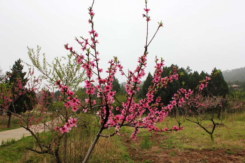 照片 139.jpg