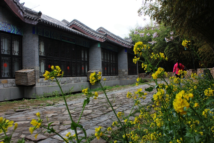 照片 255.jpg