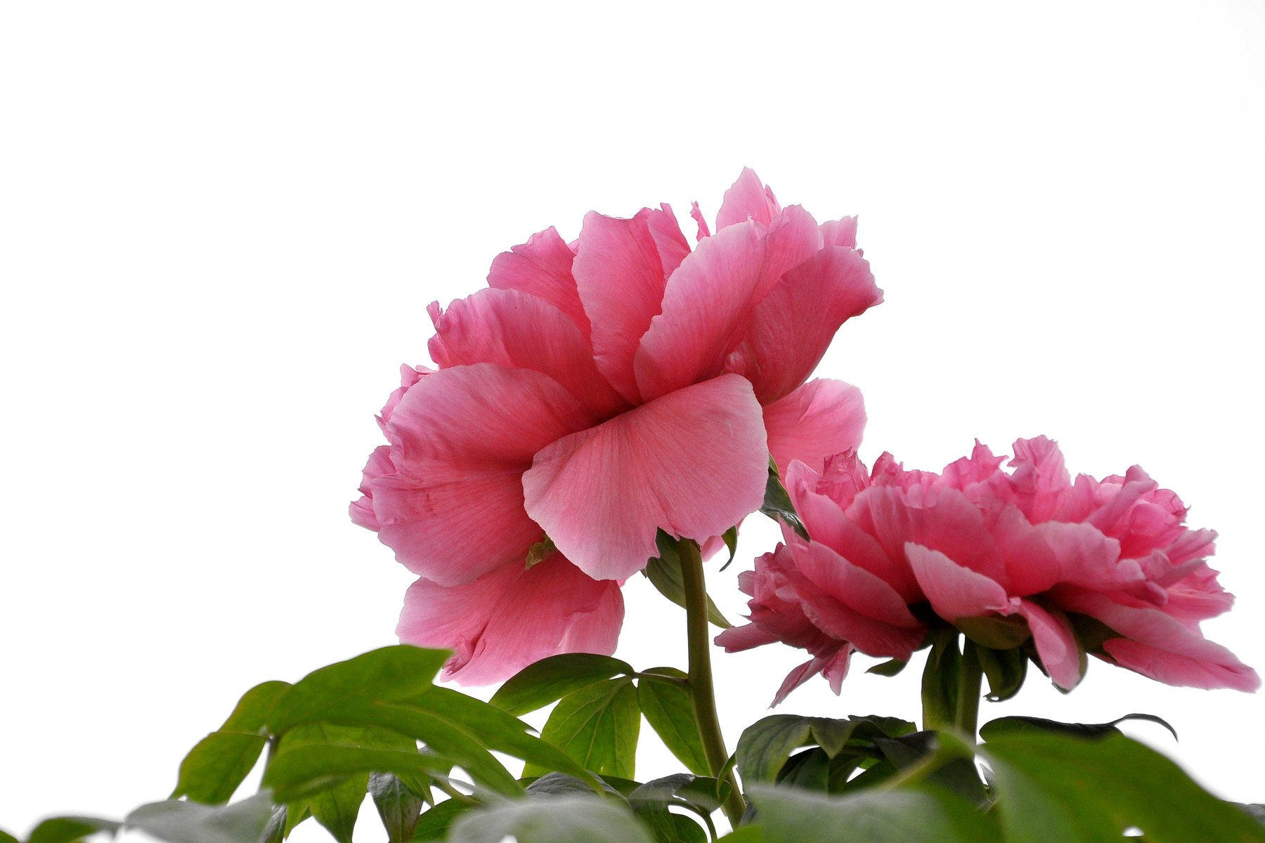 nEO_IMG_DSC_0728.jpg