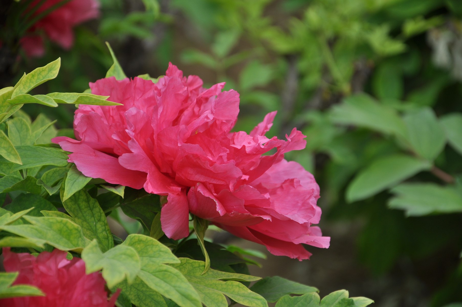 nEO_IMG_DSC_0757.jpg