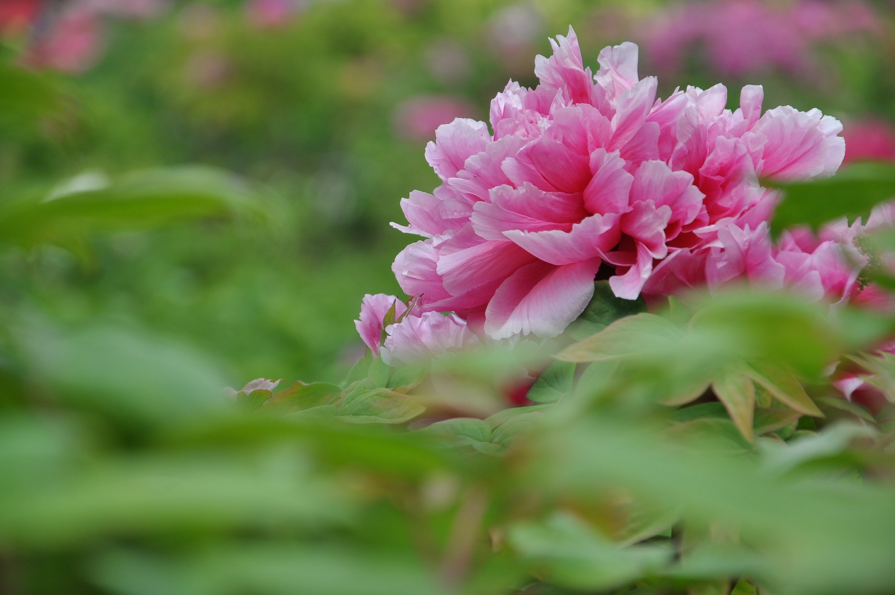 nEO_IMG_DSC_0760.jpg