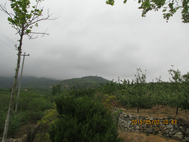 IMG_3293.jpg