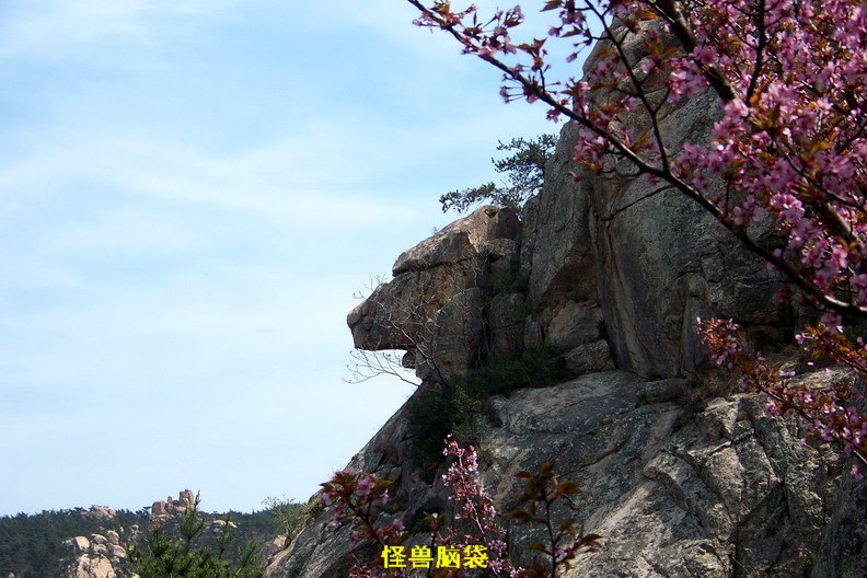 108_0351_缩小大小.JPG