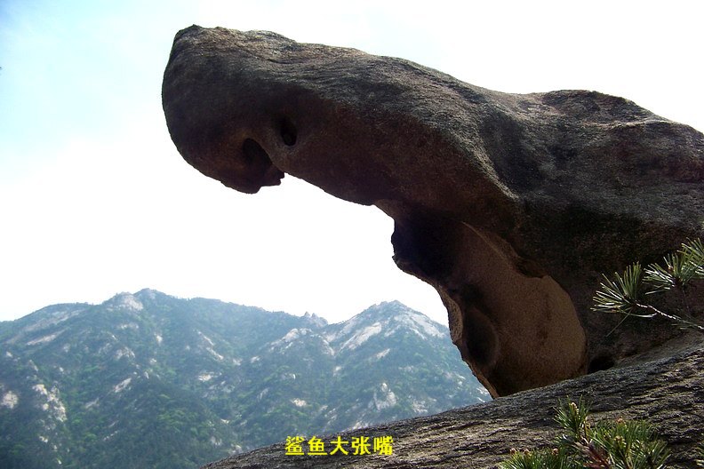 108_0416_缩小大小.JPG