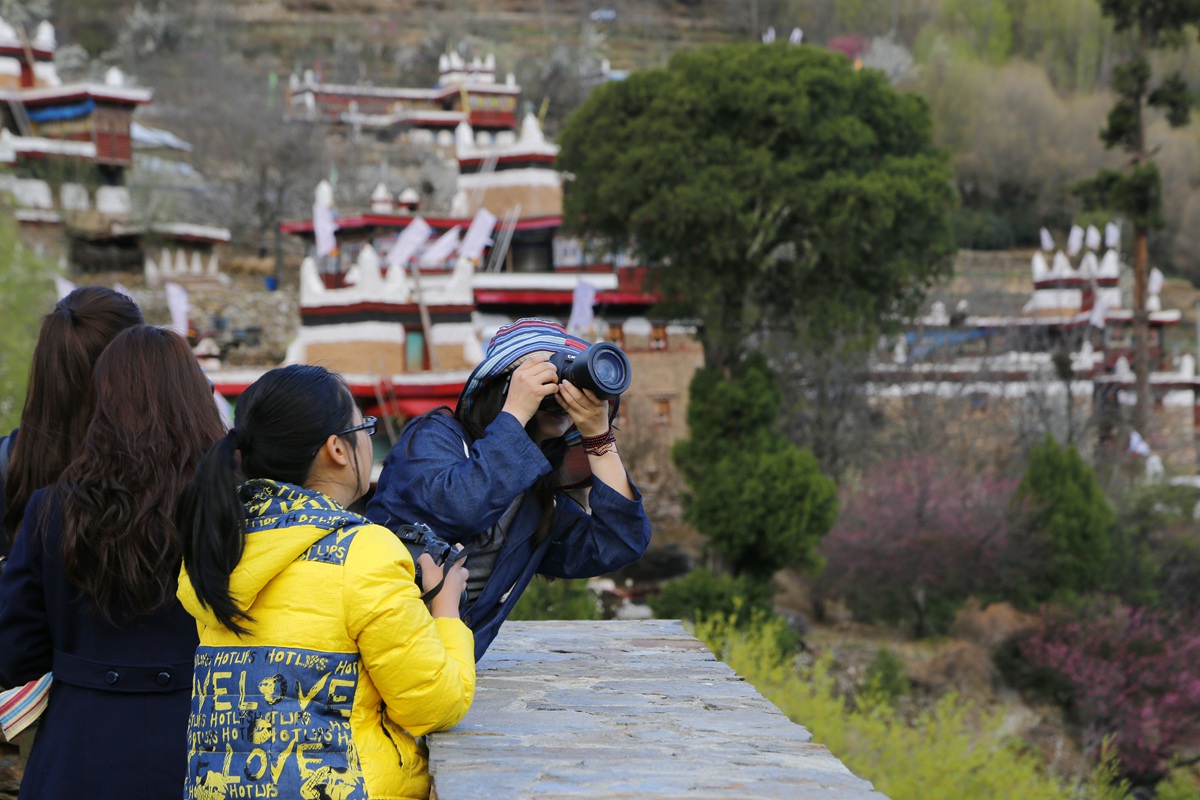 _MG_6018_副本.jpg