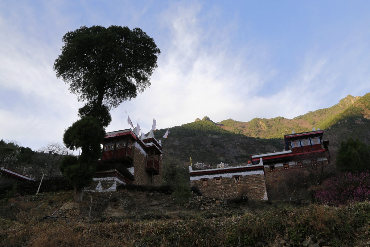 _MG_6046_副本.jpg