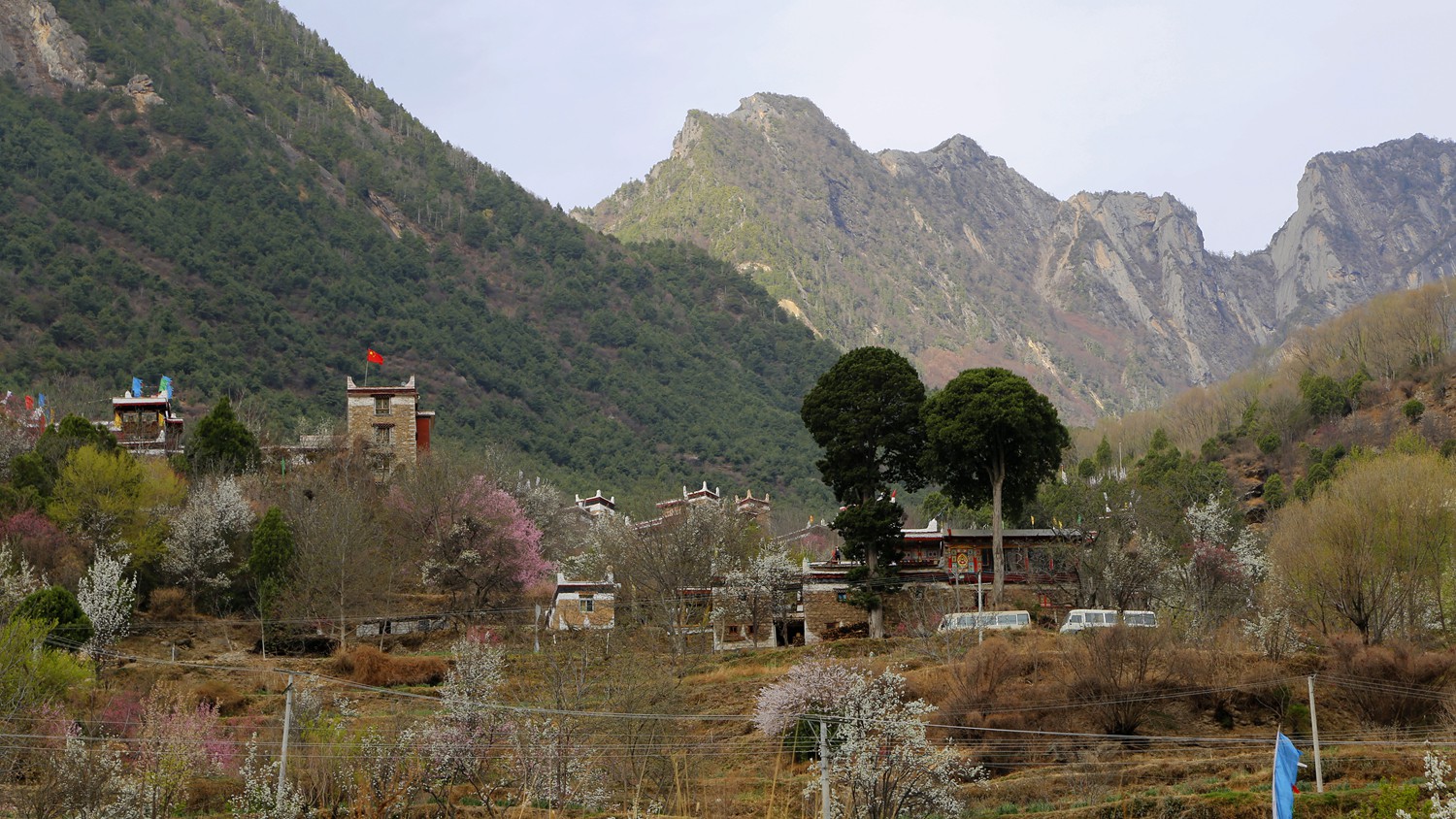 _MG_6102_副本.jpg