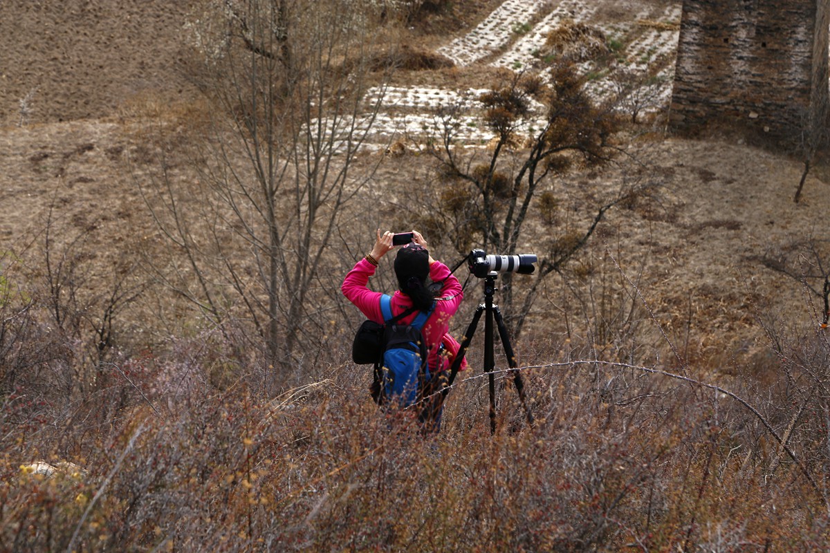 _MG_6605_副本.jpg